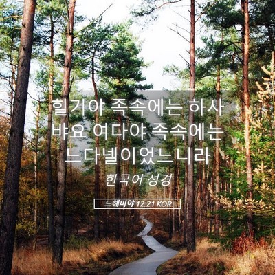 Picture 05 - 느헤미야 12:21 KOR - 힐기야 족속에는 하사뱌요 여다야 - Bible Verse Picture