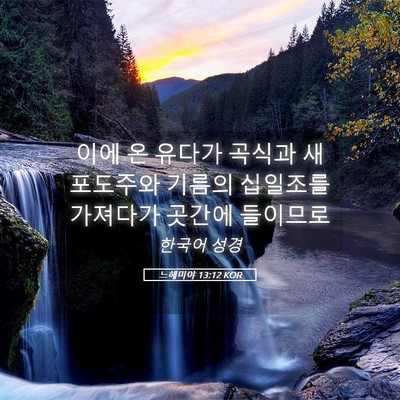 Picture 05 - 느헤미야 13:12 KOR - 이에 온 유다가 곡식과 새 포도주와 - Bible Verse Picture