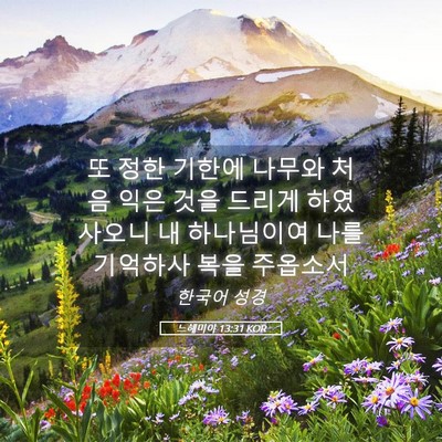 Picture 05 - 느헤미야 13:31 KOR - 또 정한 기한에 나무와 처음 익은 - Bible Verse Picture