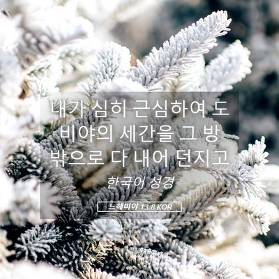 Picture 05 - 느헤미야 13:8 KOR - 내가 심히 근심하여 도비야의 세간을 - Bible Verse Picture