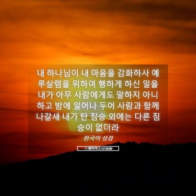 Picture 05 - 느헤미야 2:12 KOR - 내 하나님이 내 마음을 감화하사 - Bible Verse Picture