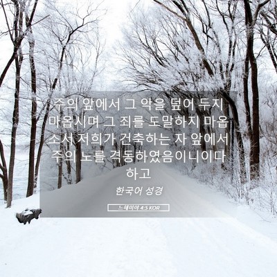 Picture 05 - 느헤미야 4:5 KOR - 주의 앞에서 그 악을 덮어 두지 - Bible Verse Picture