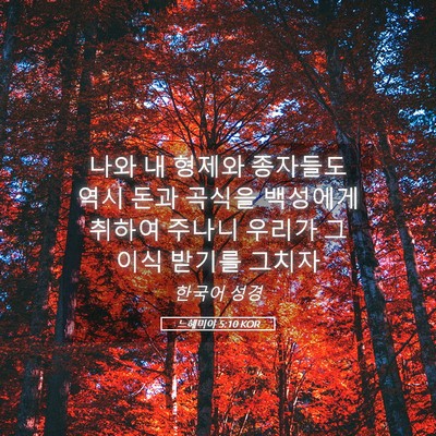 Picture 05 - 느헤미야 5:10 KOR - 나와 내 형제와 종자들도 역시 돈과 - Bible Verse Picture