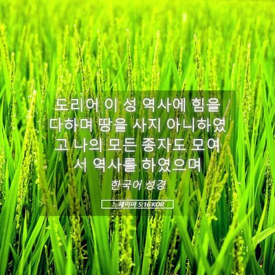 Picture 05 - 느헤미야 5:16 KOR - 도리어 이 성 역사에 힘을 다하며 - Bible Verse Picture