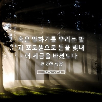 Picture 05 - 느헤미야 5:4 KOR - 혹은 말하기를 우리는 밭과 - Bible Verse Picture