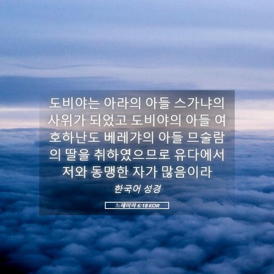 Picture 05 - 느헤미야 6:18 KOR - 도비야는 아라의 아들 스가냐의 - Bible Verse Picture