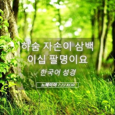 Picture 05 - 느헤미야 7:22 KOR - 하숨 자손이 삼백 이십 - Bible Verse Picture