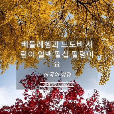 Picture 05 - 느헤미야 7:26 KOR - 베들레헴과 느도바 사람이 일백 팔십 - Bible Verse Picture
