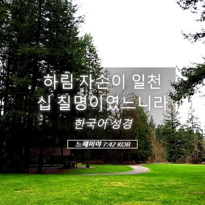Picture 05 - 느헤미야 7:42 KOR - 하림 자손이 일천 십 - Bible Verse Picture