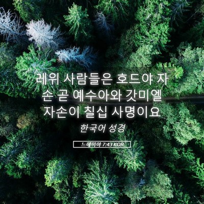 Picture 05 - 느헤미야 7:43 KOR - 레위 사람들은 호드야 자손 곧 - Bible Verse Picture