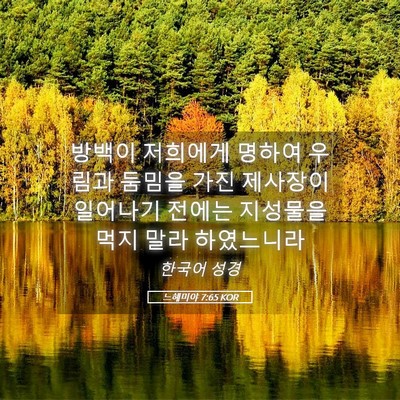 Picture 05 - 느헤미야 7:65 KOR - 방백이 저희에게 명하여 우림과 - Bible Verse Picture