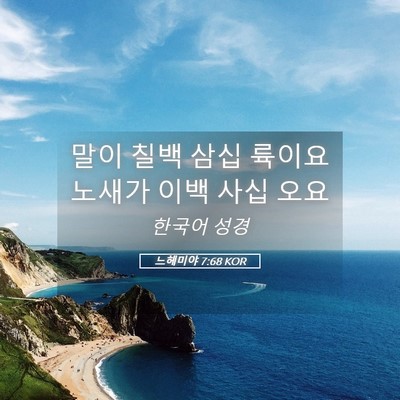 Picture 05 - 느헤미야 7:68 KOR - 말이 칠백 삼십 륙이요 노새가 이백 - Bible Verse Picture