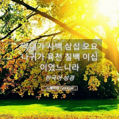 Picture 05 - 느헤미야 7:69 KOR - 약대가 사백 삼십 오요 나귀가 육천 - Bible Verse Picture