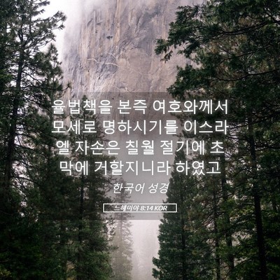 Picture 05 - 느헤미야 8:14 KOR - 율법책을 본즉 여호와께서 모세로 - Bible Verse Picture