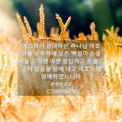 Picture 05 - 느헤미야 8:6 KOR - 에스라가 광대하신 하나님 여호와를 - Bible Verse Picture