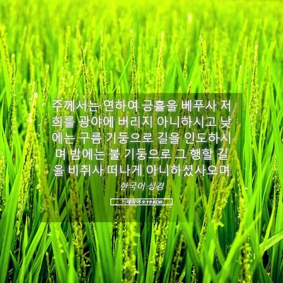 Picture 05 - 느헤미야 9:19 KOR - 주께서는 연하여 긍휼을 베푸사 - Bible Verse Picture