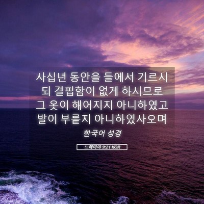 Picture 05 - 느헤미야 9:21 KOR - 사십년 동안을 들에서 기르시되 - Bible Verse Picture