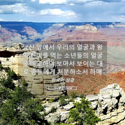 Picture 05 - 다니엘 1:13 KOR - 당신 앞에서 우리의 얼굴과 왕의 - Bible Verse Picture