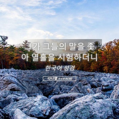 Picture 05 - 다니엘 1:14 KOR - 그가 그들의 말을 좇아 열흘을 - Bible Verse Picture