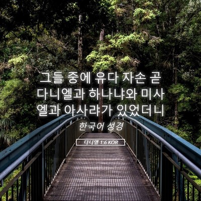 Picture 05 - 다니엘 1:6 KOR - 그들 중에 유다 자손 곧 다니엘과 - Bible Verse Picture