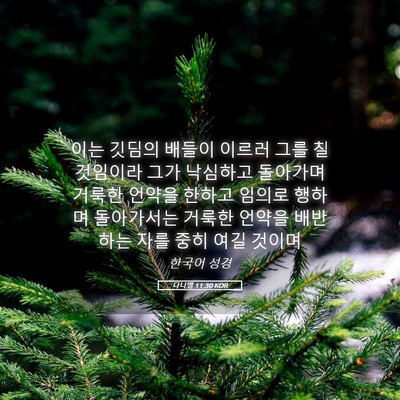 Picture 05 - 다니엘 11:30 KOR - 이는 깃딤의 배들이 이르러 그를 칠 - Bible Verse Picture