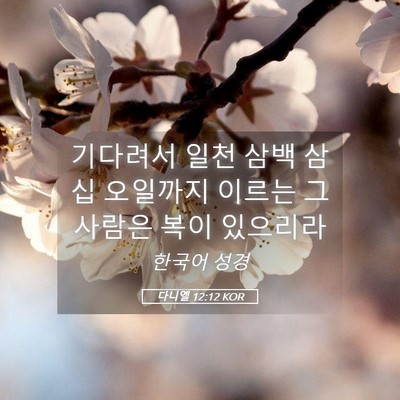 Picture 05 - 다니엘 12:12 KOR - 기다려서 일천 삼백 삼십 오일까지 - Bible Verse Picture
