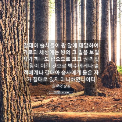 Picture 05 - 다니엘 2:10 KOR - 갈대아 술사들이 왕 앞에 대답하여 - Bible Verse Picture