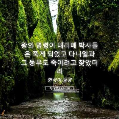 Picture 05 - 다니엘 2:13 KOR - 왕의 명령이 내리매 박사들은 죽게 - Bible Verse Picture