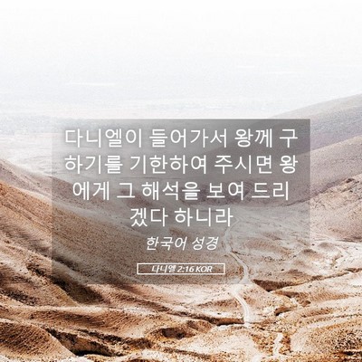 Picture 05 - 다니엘 2:16 KOR - 다니엘이 들어가서 왕께 구하기를 - Bible Verse Picture