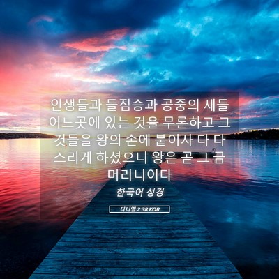 Picture 05 - 다니엘 2:38 KOR - 인생들과 들짐승과 공중의 새들 - Bible Verse Picture