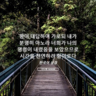 Picture 05 - 다니엘 2:8 KOR - 왕이 대답하여 가로되 내가 분명히 - Bible Verse Picture