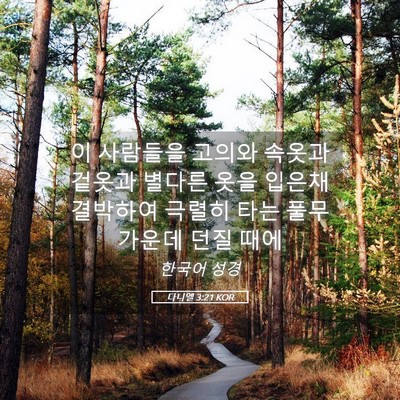 Picture 05 - 다니엘 3:21 KOR - 이 사람들을 고의와 속옷과 겉옷과 - Bible Verse Picture