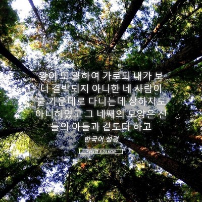 Picture 05 - 다니엘 3:25 KOR - 왕이 또 말하여 가로되 내가 보니 - Bible Verse Picture