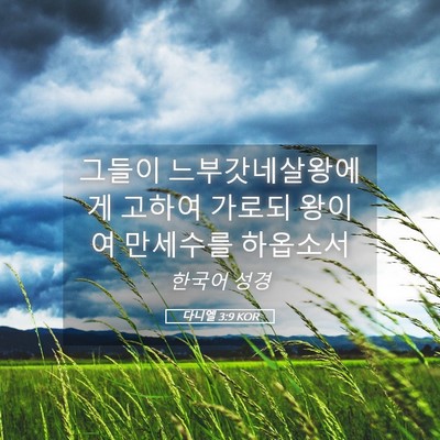 Picture 05 - 다니엘 3:9 KOR - 그들이 느부갓네살왕에게 고하여 - Bible Verse Picture