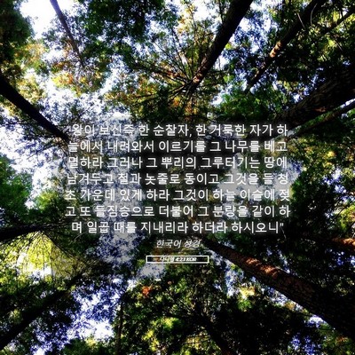 Picture 05 - 다니엘 4:23 KOR - 
