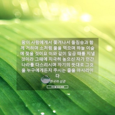Picture 05 - 다니엘 4:25 KOR - 왕이 사람에게서 쫓겨나서 들짐승과 - Bible Verse Picture