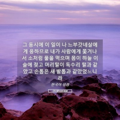 Picture 05 - 다니엘 4:33 KOR - 그 동시에 이 일이 나 - Bible Verse Picture