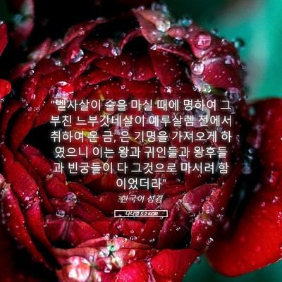 Picture 05 - 다니엘 5:2 KOR - 