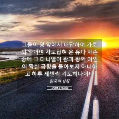 Picture 05 - 다니엘 6:13 KOR - 그들이 왕 앞에서 대답하여 가로되 - Bible Verse Picture