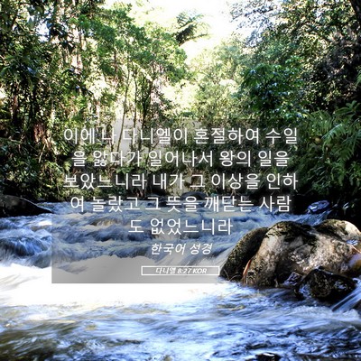 Picture 05 - 다니엘 8:27 KOR - 이에 나 다니엘이 혼절하여 수일을 - Bible Verse Picture