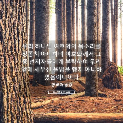 Picture 05 - 다니엘 9:10 KOR - 우리 하나님 여호와의 목소리를 - Bible Verse Picture