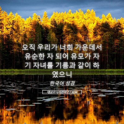 Picture 05 - 데살로니가전서 2:7 KOR - 오직 우리가 너희 가운데서 유순한 - Bible Verse Picture