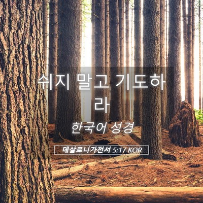 Picture 05 - 데살로니가전서 5:17 KOR - 쉬지 말고 - Bible Verse Picture