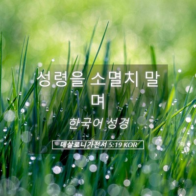 Picture 05 - 데살로니가전서 5:19 KOR - 성령을 소멸치 - Bible Verse Picture