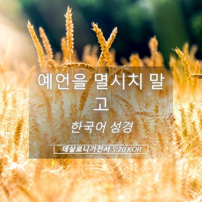 Picture 05 - 데살로니가전서 5:20 KOR - 예언을 멸시치 - Bible Verse Picture