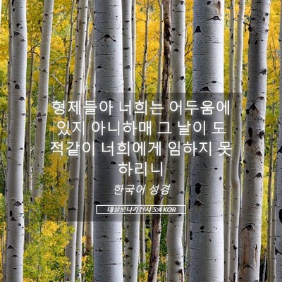 Picture 05 - 데살로니가전서 5:4 KOR - 형제들아 너희는 어두움에 있지 - Bible Verse Picture