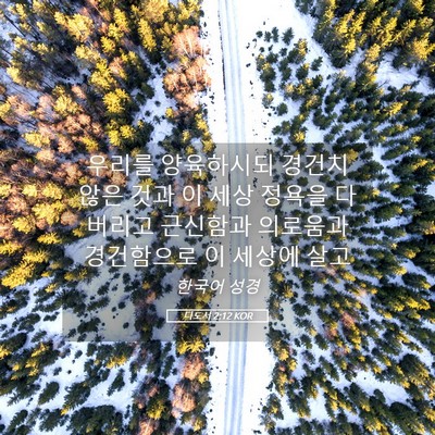 Picture 05 - 디도서 2:12 KOR - 우리를 양육하시되 경건치 않은 것과 - Bible Verse Picture
