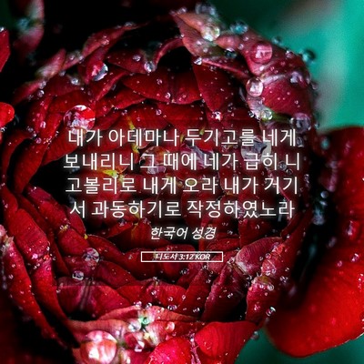 Picture 05 - 디도서 3:12 KOR - 내가 아데마나 두기고를 네게 - Bible Verse Picture