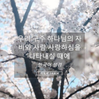 Picture 05 - 디도서 3:4 KOR - 우리 구주 하나님의 자비와 사람 - Bible Verse Picture