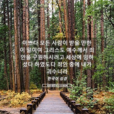 Picture 05 - 디모데전서 1:15 KOR - 미쁘다 모든 사람이 받을 만한 이 - Bible Verse Picture